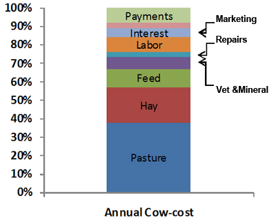 Graph of annual cow costs. Pasture makes up the highest proportion of costs.