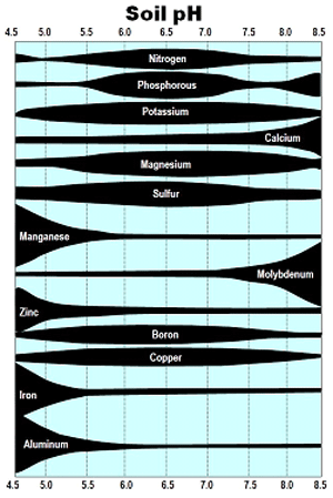 Graph of plant nutrient availability from soil pH 4.5 to 8.5. Most nutrients are most available from pH of around 6 to 7, calcium and molybdenium become more available at the higher pH values, and manganese, zinc, iron, and aluminum are most available at the lower pH values