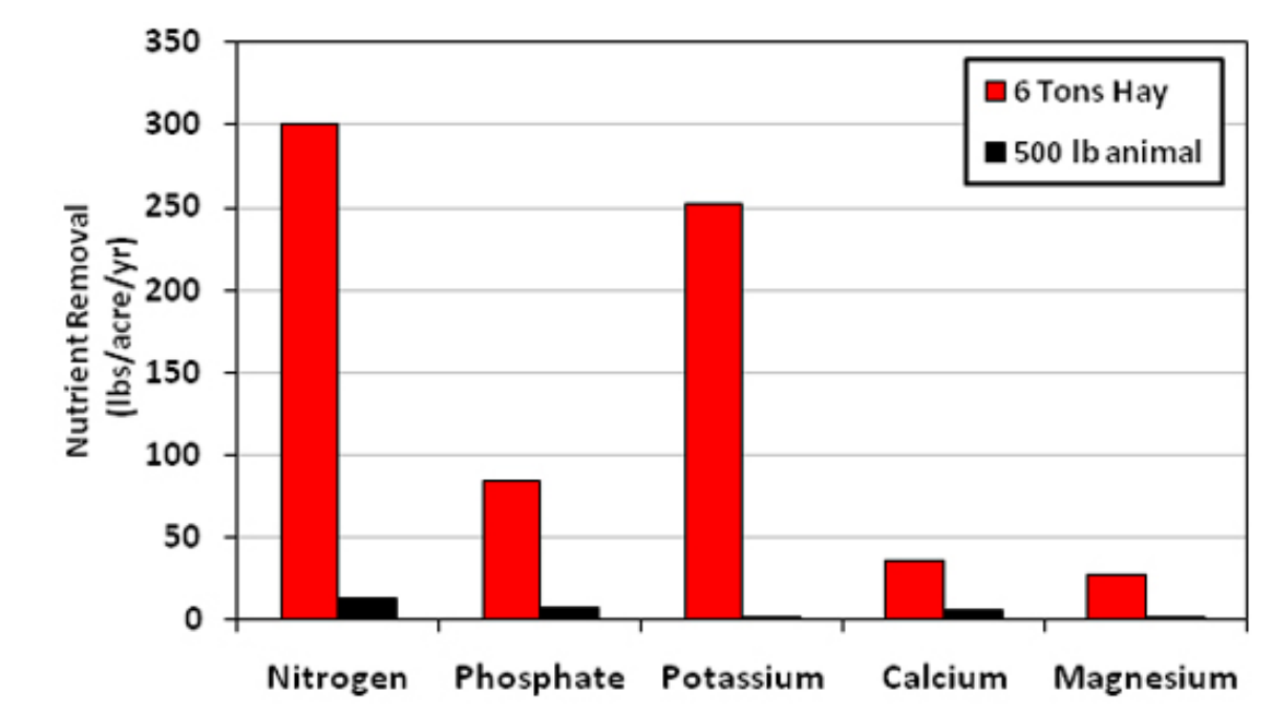Graph of annual rate of nutrient removal for a field producing 6 tons of hay or one 500-lb calf per year. Removal is in in lbs/acre/yr for nitrogen, phosphate, potassium, calcium, and magnesium. For all nutrients, removal is much higher when producing hay than calves.