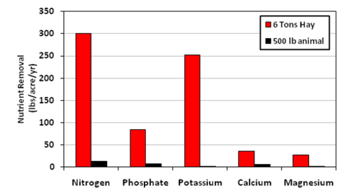 Cotton Byproduct Beef Feeding Recommendations – Have They Changed? -  Alabama Cooperative Extension System