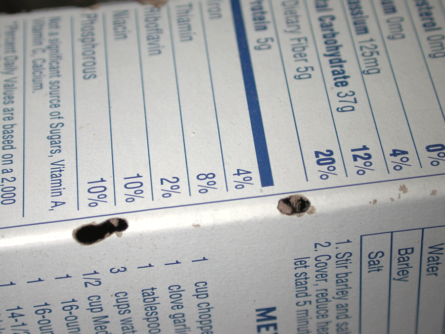 Cardboard box with holes where Trogoderma larvae have chewed through