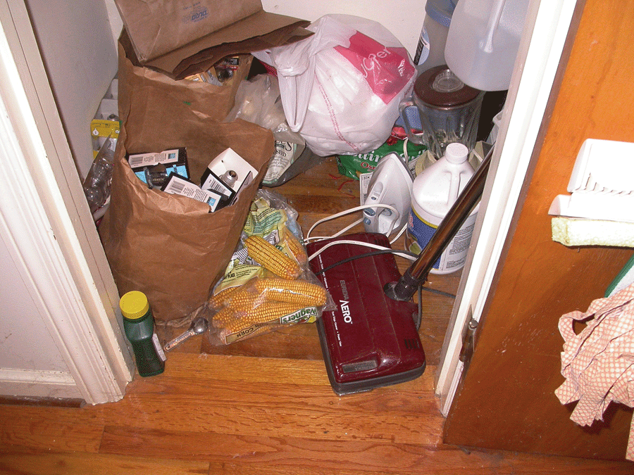 Utility closet containing paper bags, vacuum, and bags of corn feed