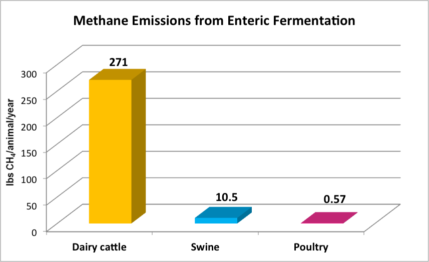 Methane emissions from enteric fermentation. Dairy cattle produce 271 lbs CH4/animal/year, swine produce 10.5 lbs, and poultry produce 0.57 lbs.