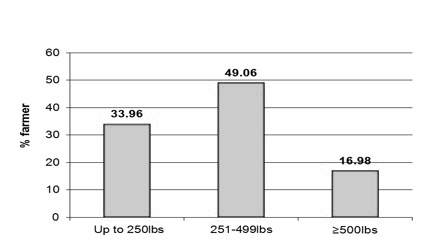 Figure 10. The percentage of growers who applied less
than 250 pounds, between 251 and 499 pounds and more
than 500 pounds of inorganic fertilizer per acre.