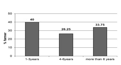 Bar graph of how long survey respondents who use poultry litter fertilizer have been using it. 40% have been using poultry litter for 1-3 years, 26.25% have used it for 4-6 years, and 33.75% have used it for more than 6 years.