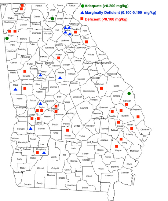 Selenium in Georgia Soils and Forages: Importance in the Livestock