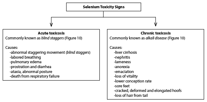 Selenium In Georgia Soils And Forages Importance In The Livestock Industry Uga Cooperative Extension