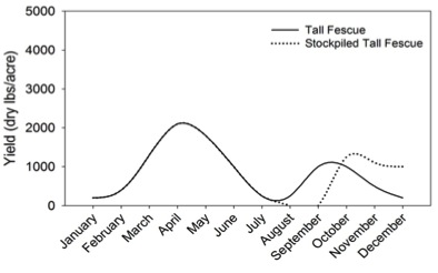 graph of seasonal yield of tall fescue and stockpiled tall fescue. fescue yield peaks in April with a smaller peak in September. Stockpiled fescue begins in September and continues through December