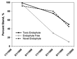Figure 5. Stand persistence of novel endophyte-infected
(?Jesup MaxQ™?), toxic endophyte-infected, and endophyte-
free tall fescue in bermudagrass sod after two years
of close grazing near Eatonton, Georgia (Bouton et al.,
2000).