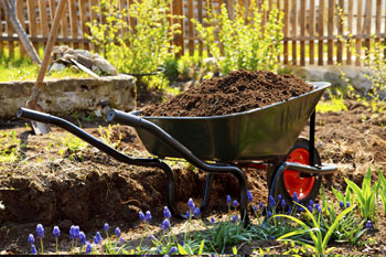 wheelbarrow