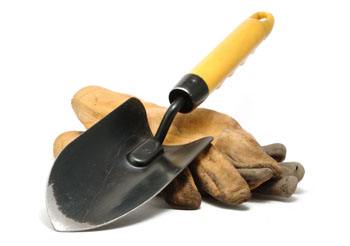 trowel and gloves