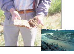 Person holding soil under conservation tillage with an inset showing an area with excessive runoff