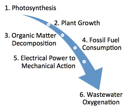 Steps of dissolved oxygen: 1. Photosynthesis, 2. Plant growth, 3. Organic matter decomposition, 4. Fossil fuel consumption, 5. Electrical power to mechanical action, and 6. Wastewater oxygenation