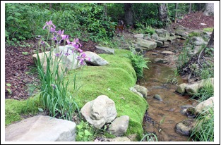 Landscape with flowers, rocks, and moss near a stream