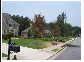 Suburban lawn with a burnt area from a fire