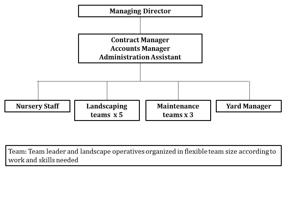 Chart showing team organization with managing director at the top; contract manager, accounts manager, and administration assistant in the middle; and nursery staff, landscaping teams x5, maintenance teams x3, and yard manager. Team leader and landscape operatives organized in flexible team size according to work and skills needed.