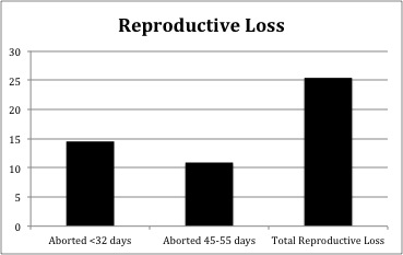 Figure 4. Wyoming State Veterinary Laboratory data indicating reproductive
loss following pregnancy check and administration of an MLV in heifers previously
vaccinated with the MLV in the past 12 months. Important note: Only
six of the aborted fetuses were tested to validate IBR as the causative agent.
All other abortions were assumed to be a result of vaccination given the proximity
to its administration.