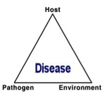 Disease triangle with the points labeled with host, pathogen, and environment, with the middle labeled disease.