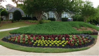 Freshly planted mixed planting with colored shrubs and foliage