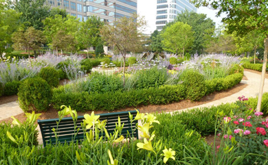 Landscape of perennials, shrubs, and trees.