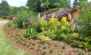 Perennials around a water feature in early summer