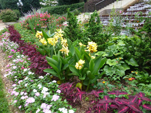 Perennials around a water feature in late summer