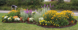 Island bed of perennial flowers