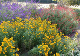 Red, yellow, and blue flowers.