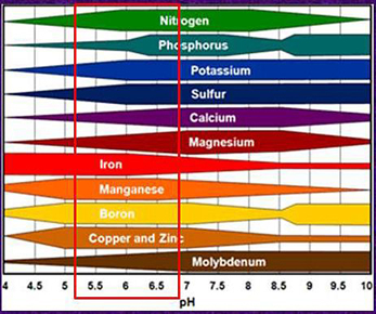 Nutrient availability by pH. A red box from around 5.2 to 6.8 indicates the optimal range for mineral nutrient uptake.