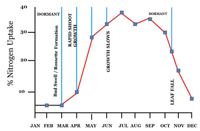 Nitrogen uptake throughout the year is lowest during winter and highest in summer, with a peak in July.