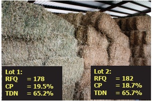 Two lots of hay that are different in color with insets showing their qualities which are very similar