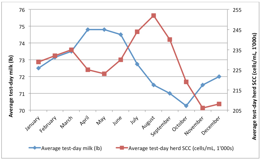 Graph of association between milk yield and somatic cell count by month. Average test-day milk production is highest in April and May and lowest in October. Average test-day herd somatic cell count is highest in August and lowest in November.