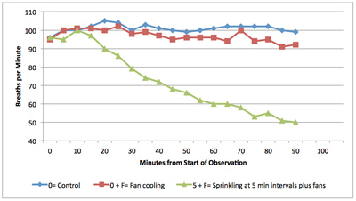 Graph of cow cooling methods showing breaths per minute by minutes from start of observation. Control group remains around 100 breaths per minute. With fan cooling, breaths decrease slightly to around 90 breaths per minute. With sprinkling at 5 minute intervals plus fans decreases breaths per minute more significantly to about 50 breaths per minute by 90 minutes of observation.