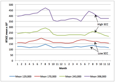 Figure 5. Two-year monthly bulk tank SCC averages for upper Midwest dairies illustrating high and low SCC herds.