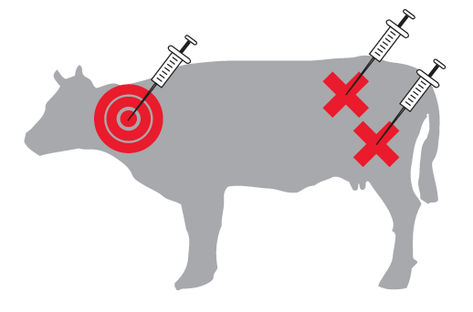 Outline of a cow showing injection sites. A site on the neck is marked with a target, and two on the flank area are marked with X's