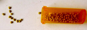 Vial of pelleted seed