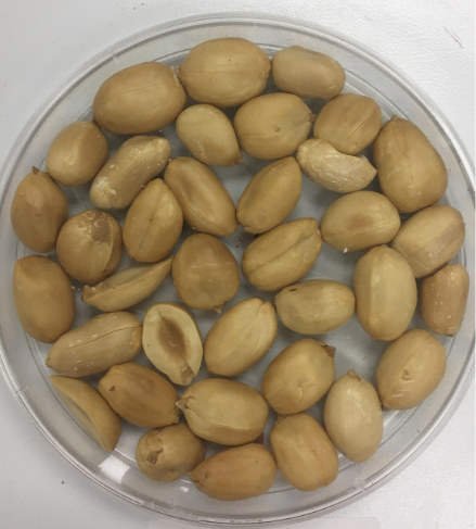 6th Peanut Crop Report as per April 12th - Argentine Peanuts