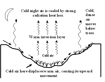 Diagram of air movement in a valley. Cold, dense air moves below trees and displaces warm air, which rises and cools