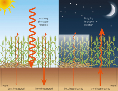 During the day, soil absorbs heat. At night, heat is lost from the soil