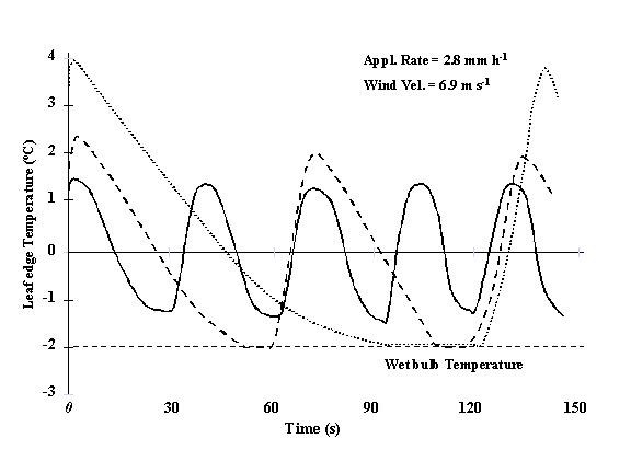 Graph of bud temperature over time when wetted by sprinklers. The temperature fluctuates.