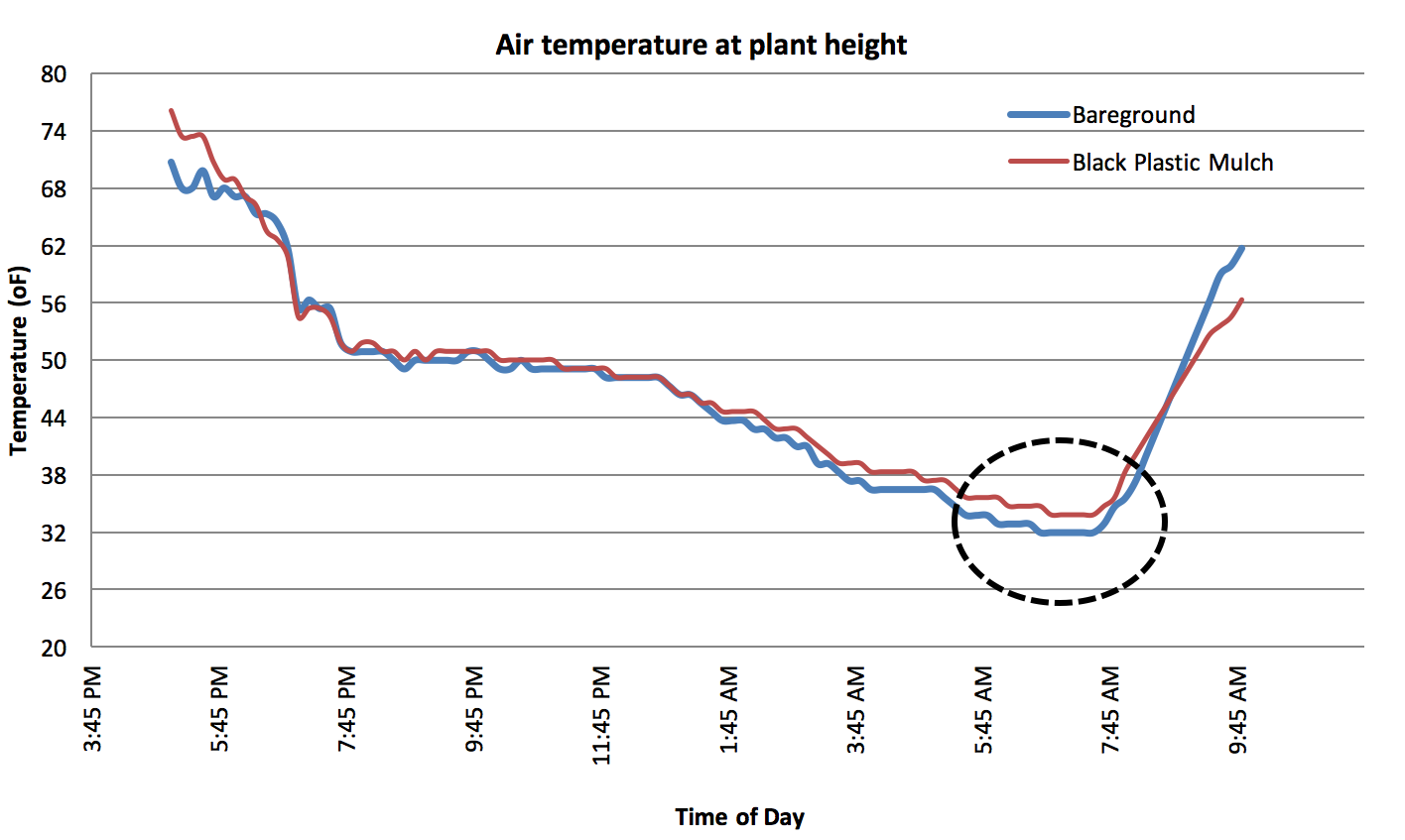 Air temperature at plant height for plants grown in bare ground and black plastic mulch throughout the day. The lowest temperature is at around 7 am, which is circled