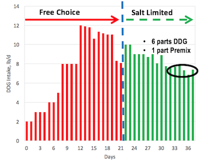 Bar graph of days versus DDG intake in lb per day. From days 0 to 21, the bars are red and labeled 