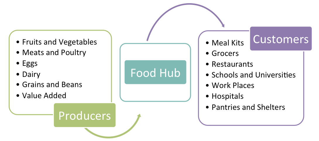 Chart showing the breakdown of a food hub with an arrow from producers to the hub, and an arrow from the hub to customers