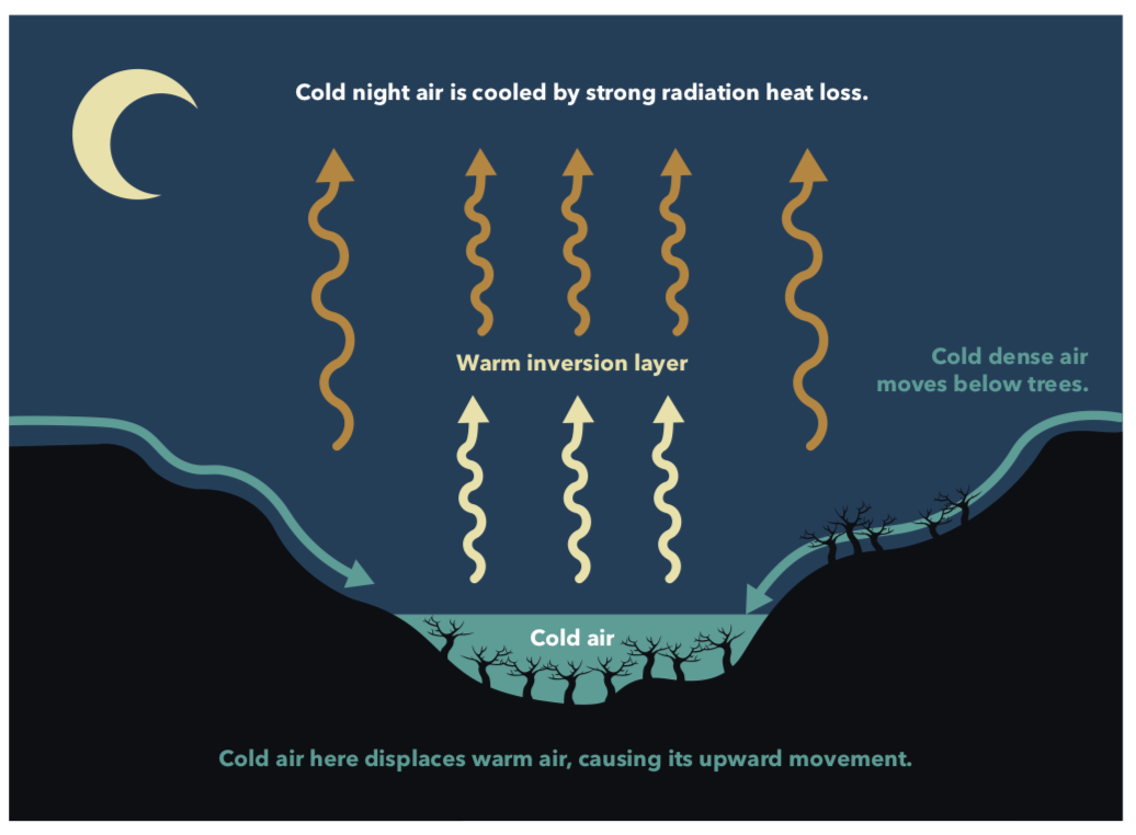 At night, cold night air is cooled by strong radiation heat loss. A warm inversion layer of air rises. Cold dense air moves below trees, creating a pocket of cold air near the ground. The cold air here displaces warm air, causing its upward movement.