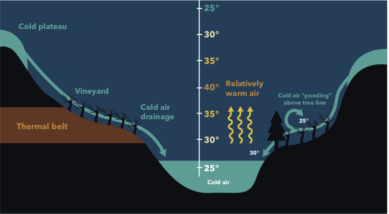 Valley topography results in a middle warm area and colder areas below and above. Cold air "pending" above tree line cycles and cold air in the bottom of the valley. Cold plateaus are at the top of the hills. In the middle of the slopes is a thermal belt of warmer air.