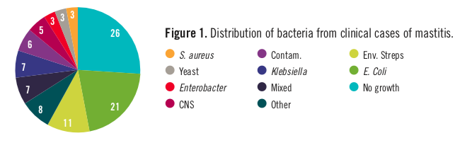 Piechart showing the disctribution of baceria from clincal cases of mastitis. Most common is no growth, followed by E. coli