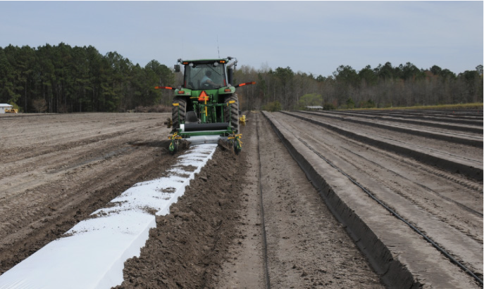 Tractor placing plastic mulch on planting bed