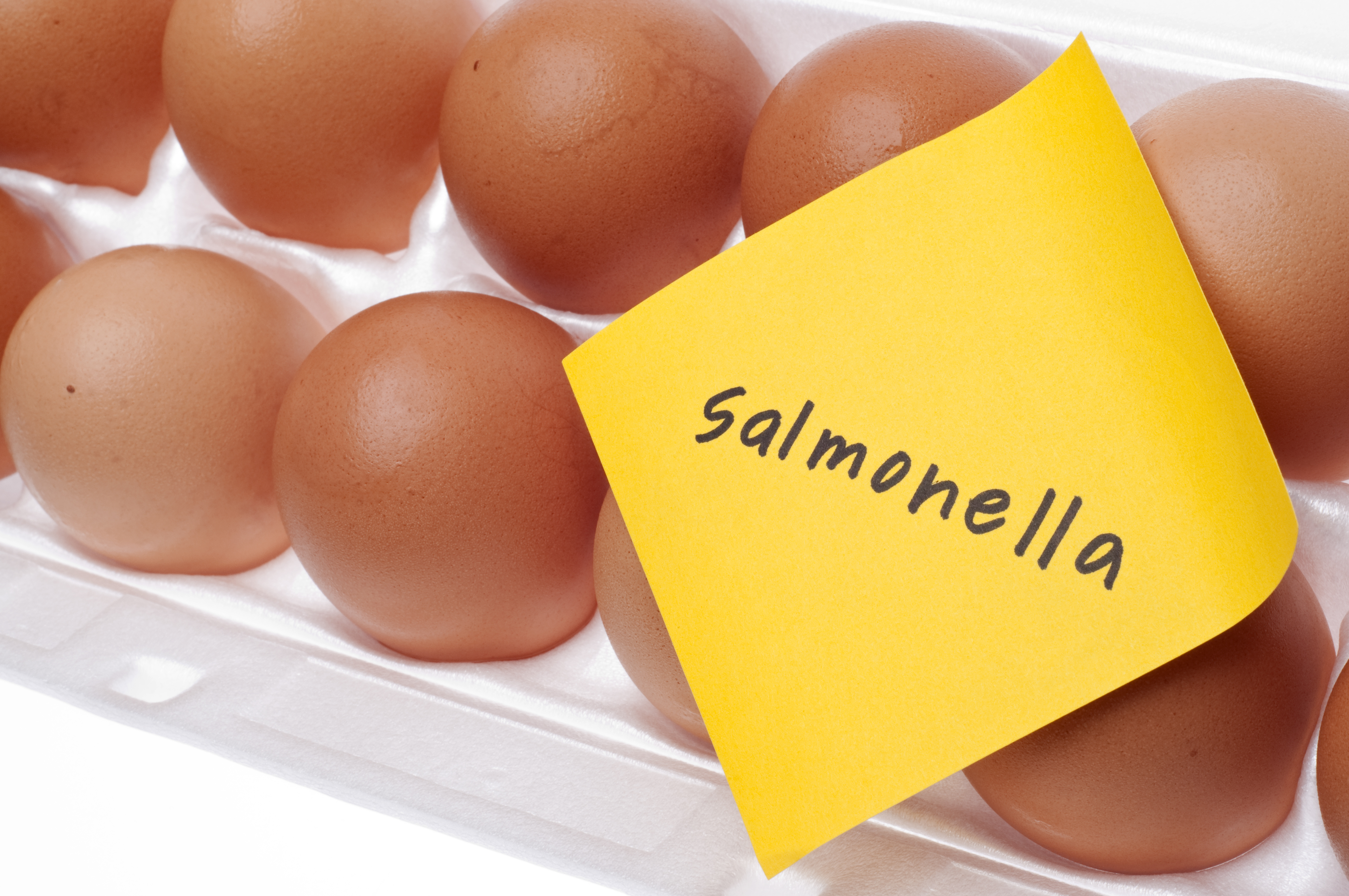 Carton of eggs with a sticky note reading "Salmonella" on it