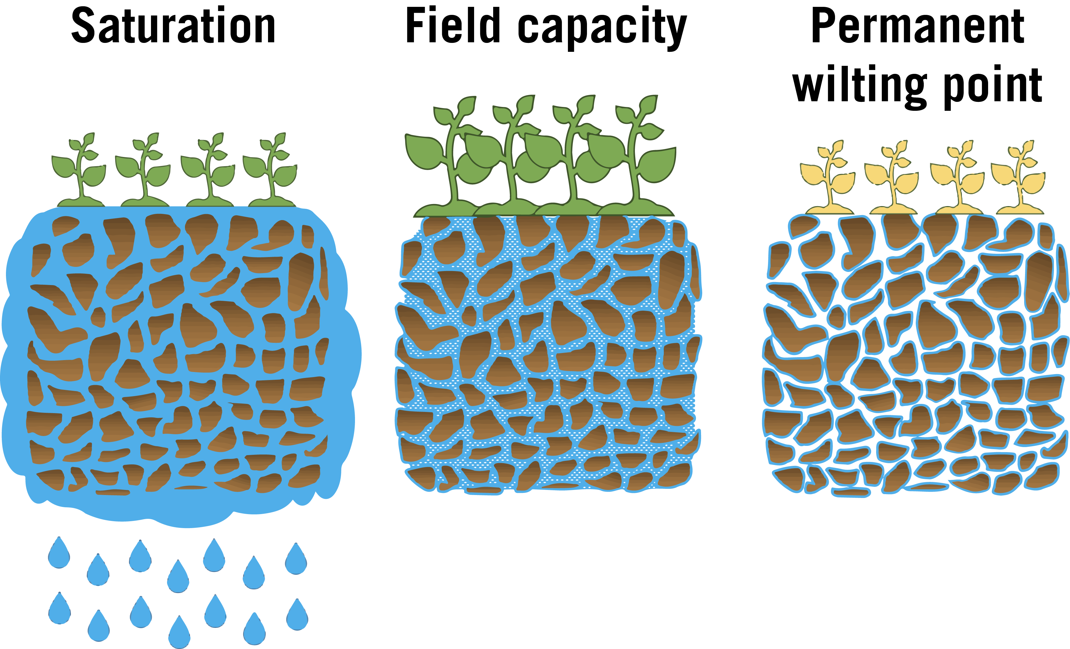 Three illustrations of water in soil. The first shows saturated soil, the second shows field capacity, and the third shows permanent wilting point