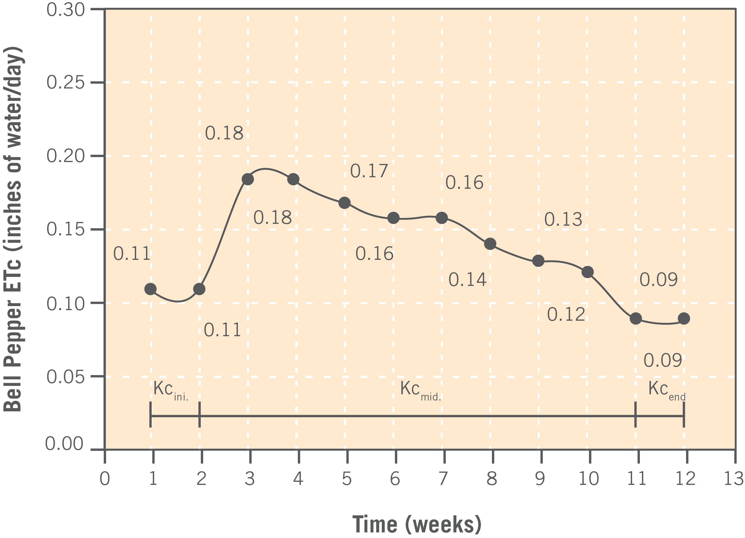 Graph of bell pepper evapotranspiration over time. ETc increases from week 2 to week 3 then gradually decreases.